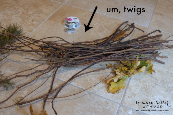 The twigs on the floor.