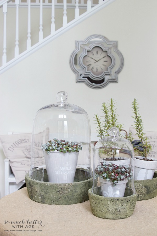 Cloches on the table.