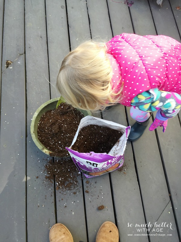 Little girl with a pink coat helping to plant.