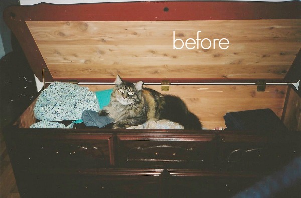 A picture of the hope chest with the lid ajar and a cat inside sitting on some clothes.