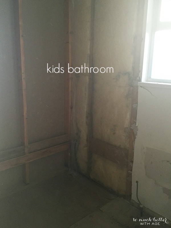 All the bare walls to the studs in the bathroom.