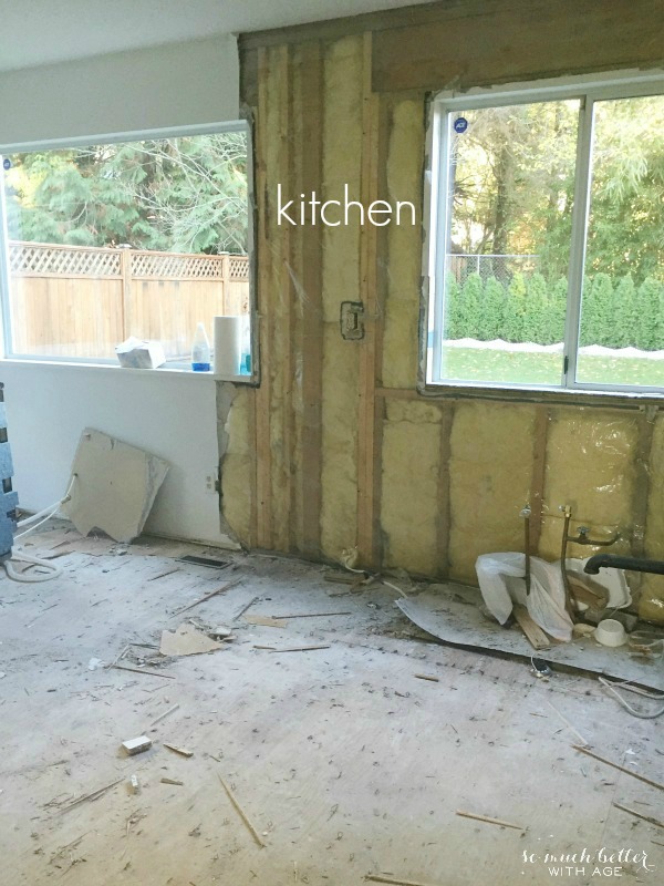 The kitchen walls taken down to the studs.