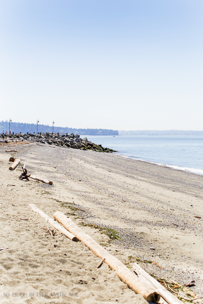 A shot of the beach with logs.