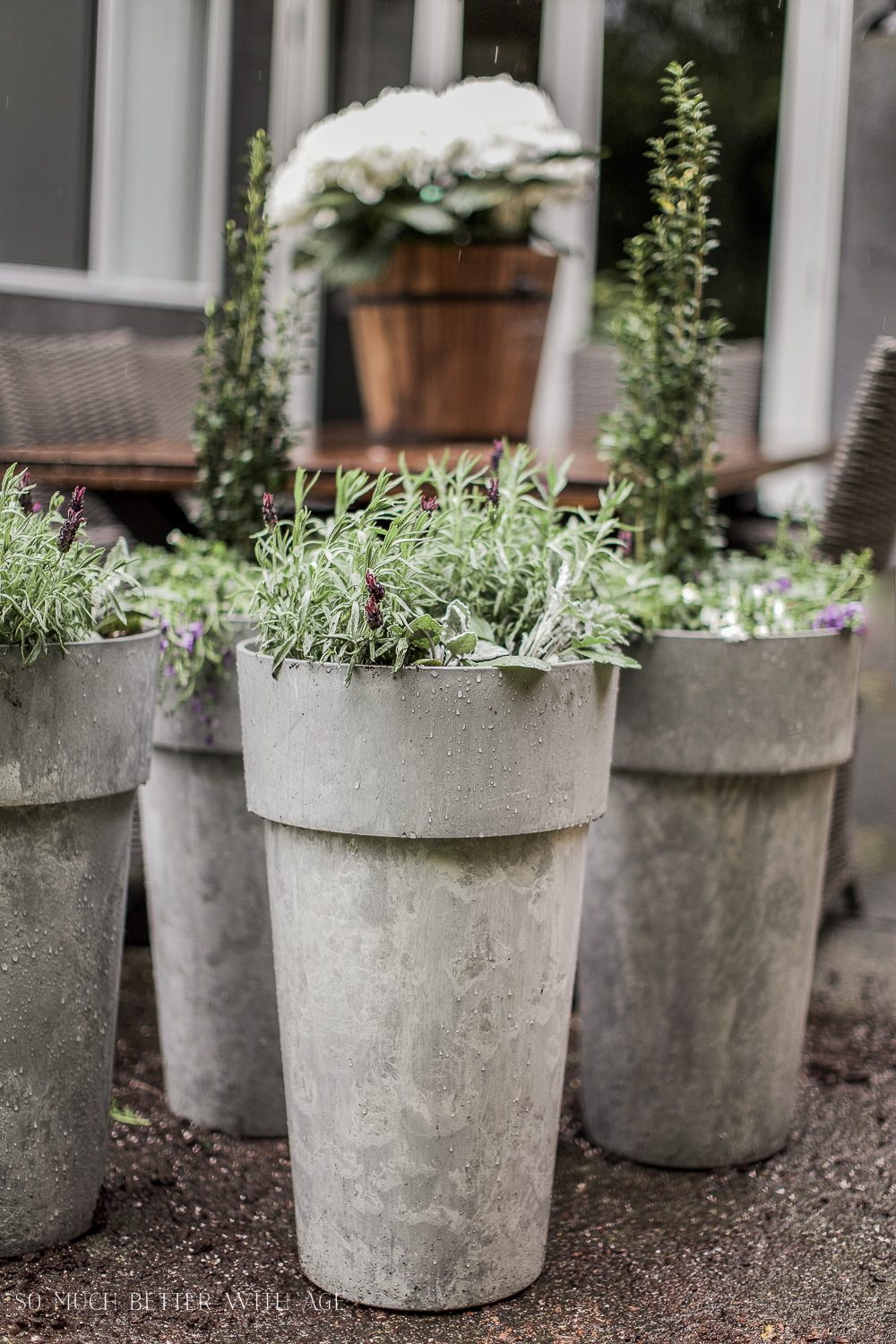 The Best Tip for Filling Large Outdoor Planters - So Much Better