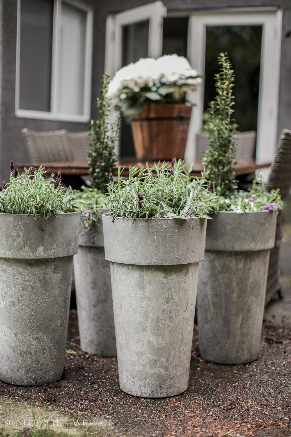 Tall grey planters with shrubs inside and white flowers in pot on table.