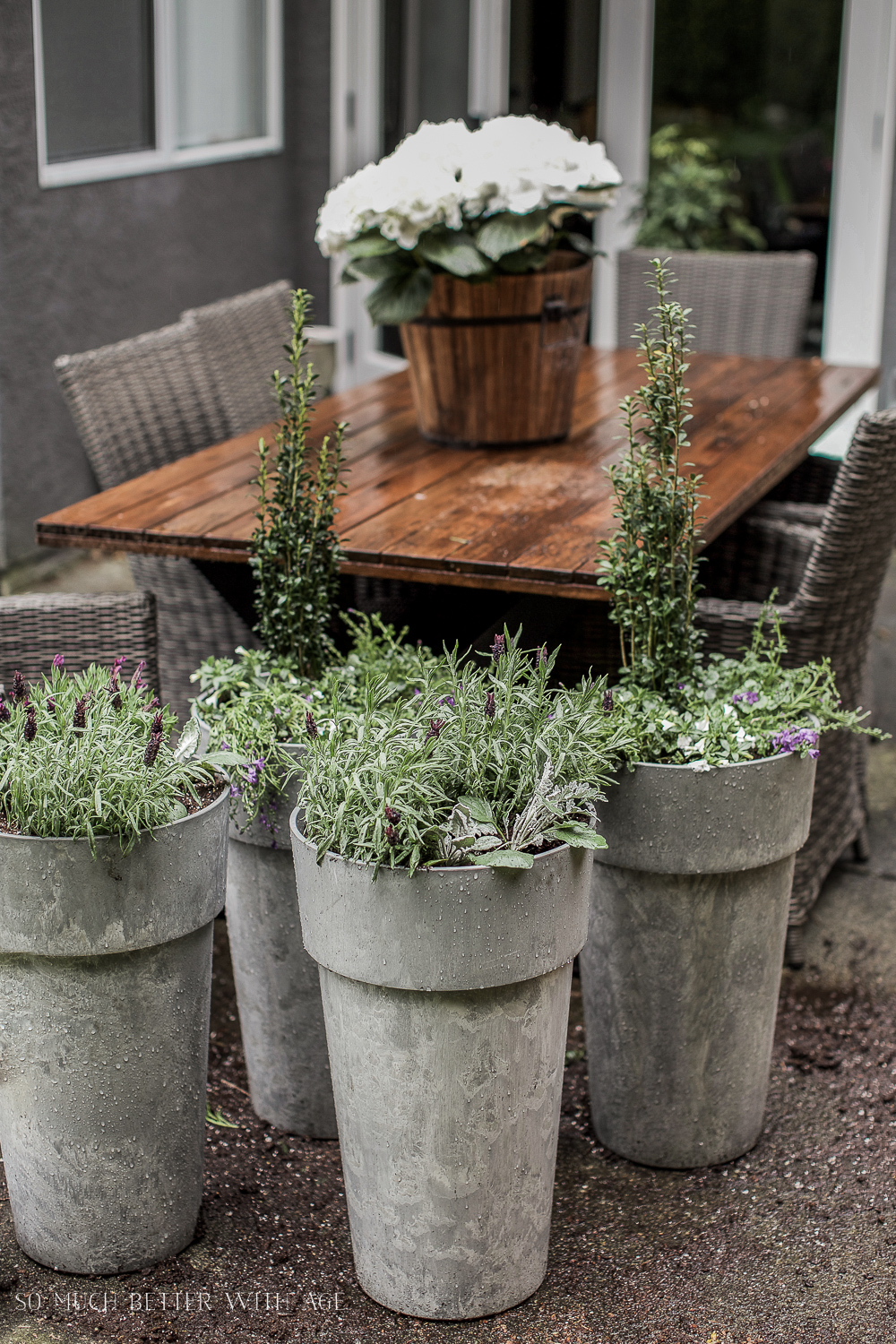 Table and chairs outdoors with potted plants around the table.