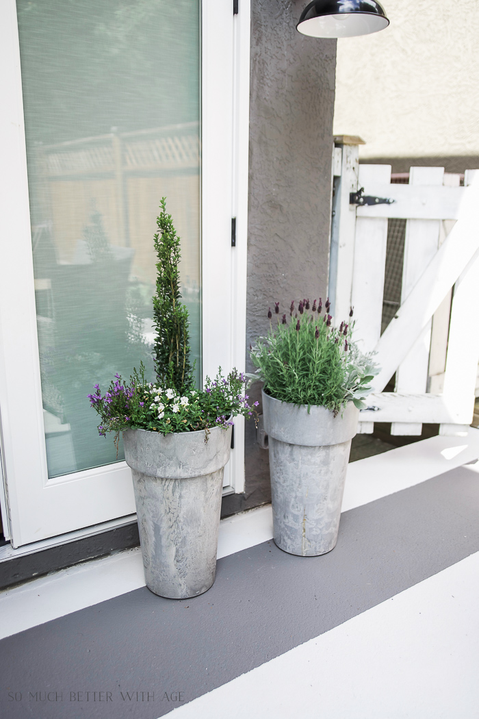 Plants in containers on deck.