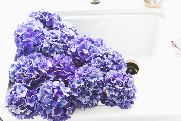 Beautiful flowers & kitchen details, Delta Trinsic faucet, Kohler apron-front sink / purple flowers in French kitchen - So Much Better With Age