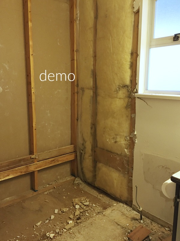 Tearing out the walls and the floors in the bathroom.