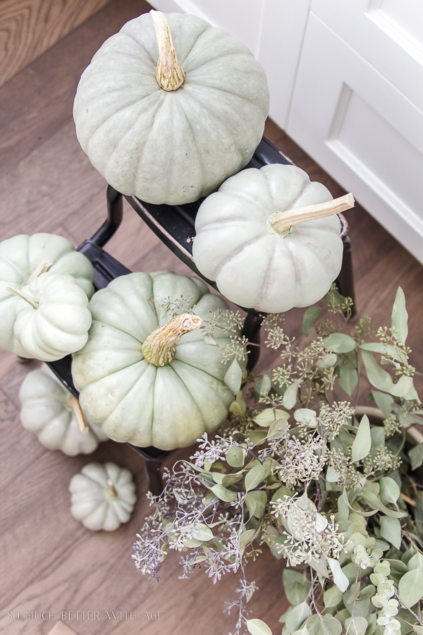 Heirloom pumpkins on a black stepladder.