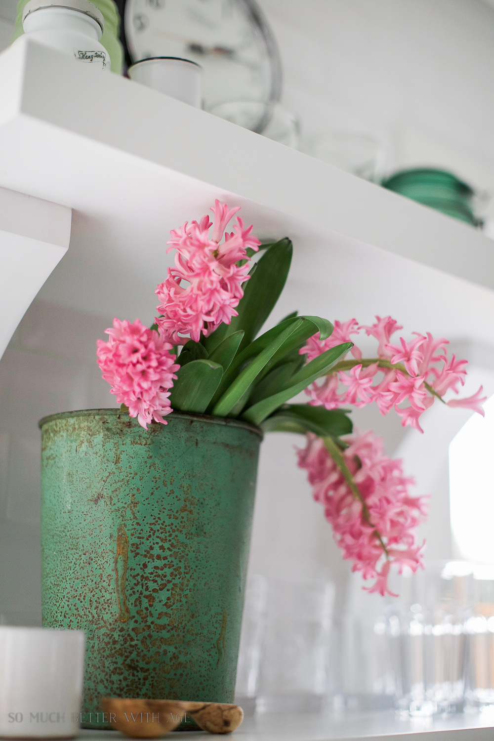 Bottle Drying Rack (or mug holder) Floral Centrepiece/pink hyacinths - So Much Better With Age