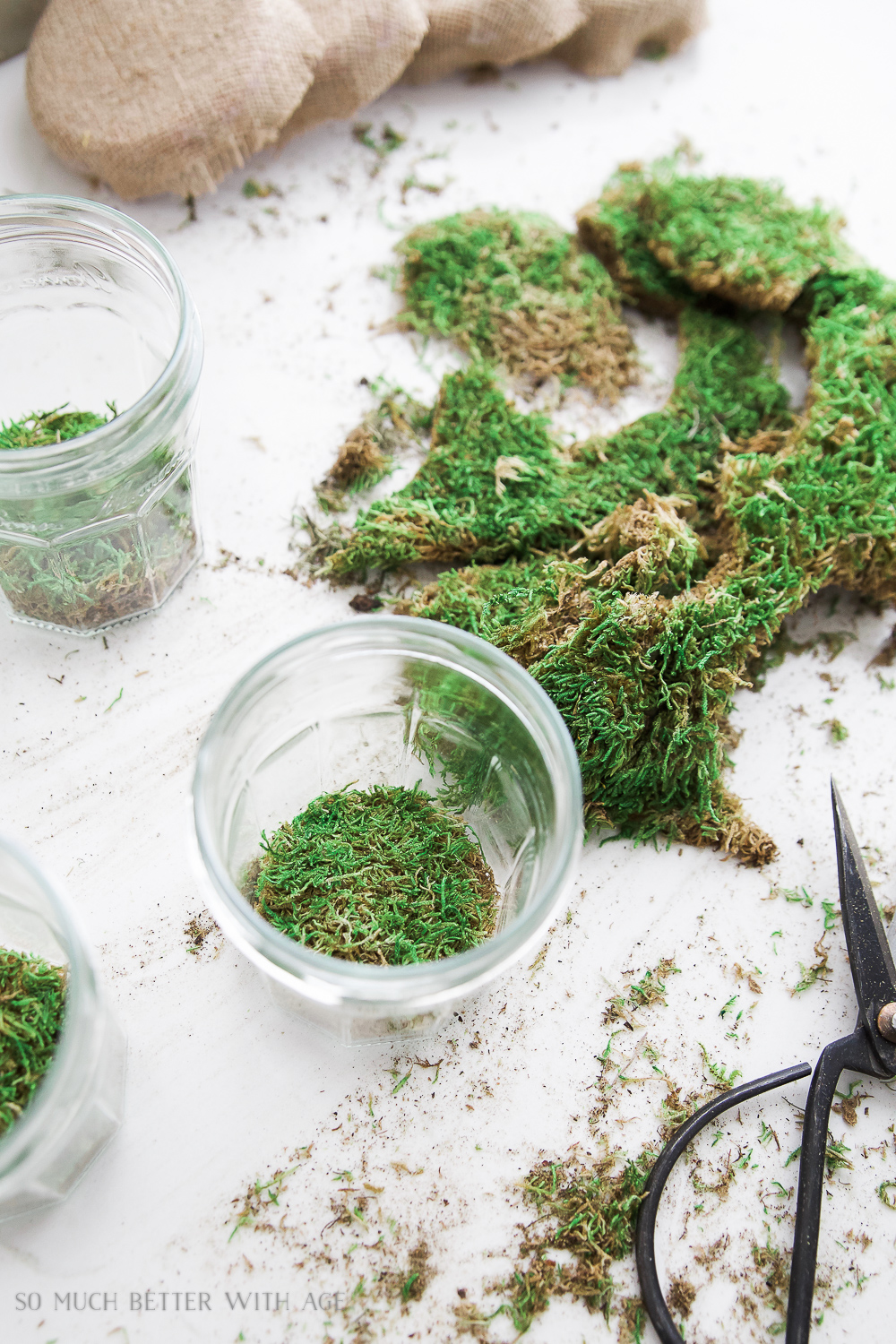 Putting the moss into the clear jars.