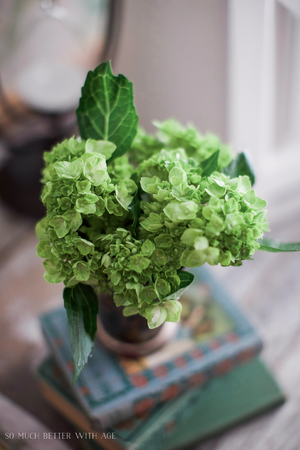 Bread Box to Letter Box - Green Hydrangeas - So Much Better With Age 