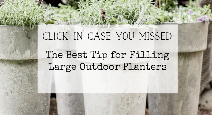 The best Tip For Filling Large Outdoor Planters poster.