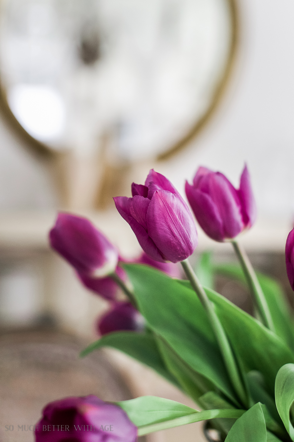 French Vintage Dining Room/close-up of tulips.