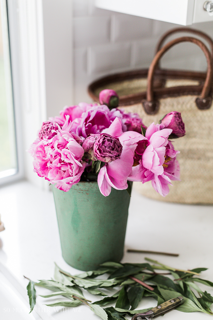 Pink peonies in sap bucket.