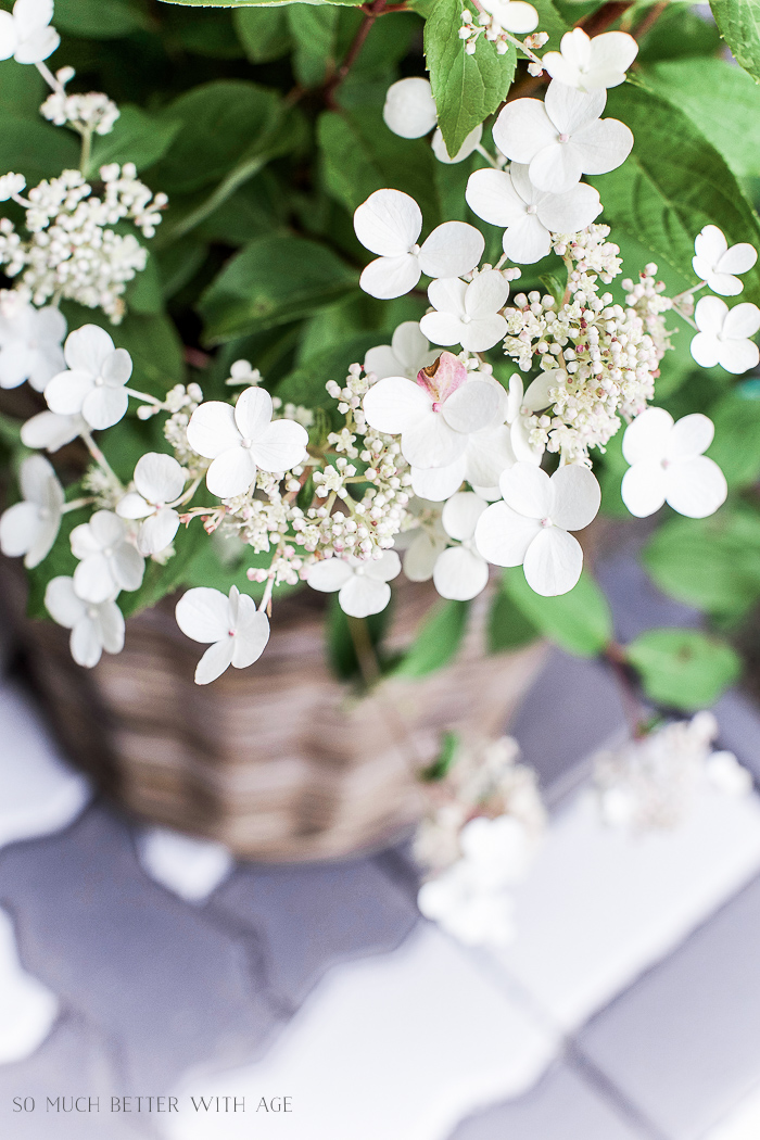 Front Porch Makeover with Painted Paving Stones/white flowering plant- So Much Better With Age