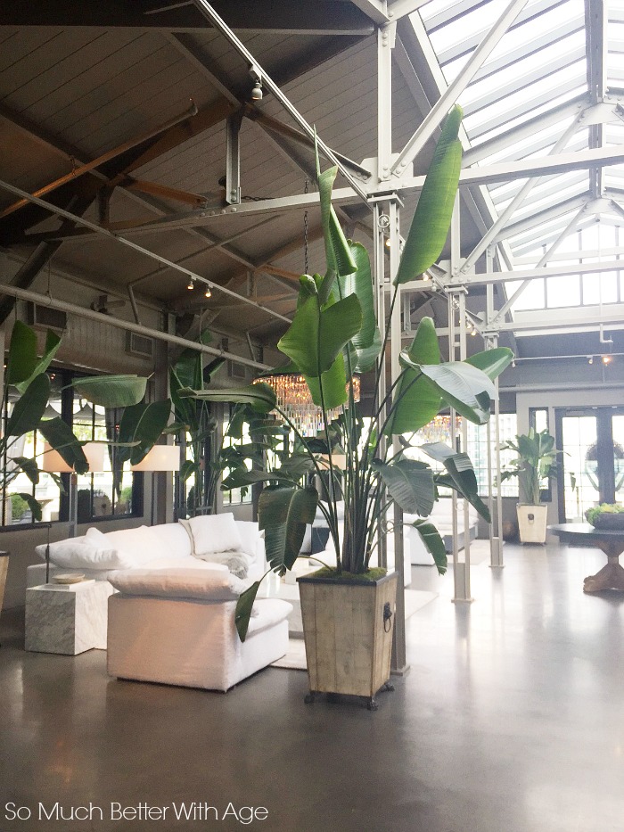 Outdoor conservatory - RH Design Gallery in Atlanta with a white couch and lots of large green plants.