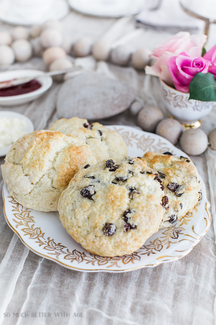 A white plate with gold leaf detail and raison and plain scones on it.