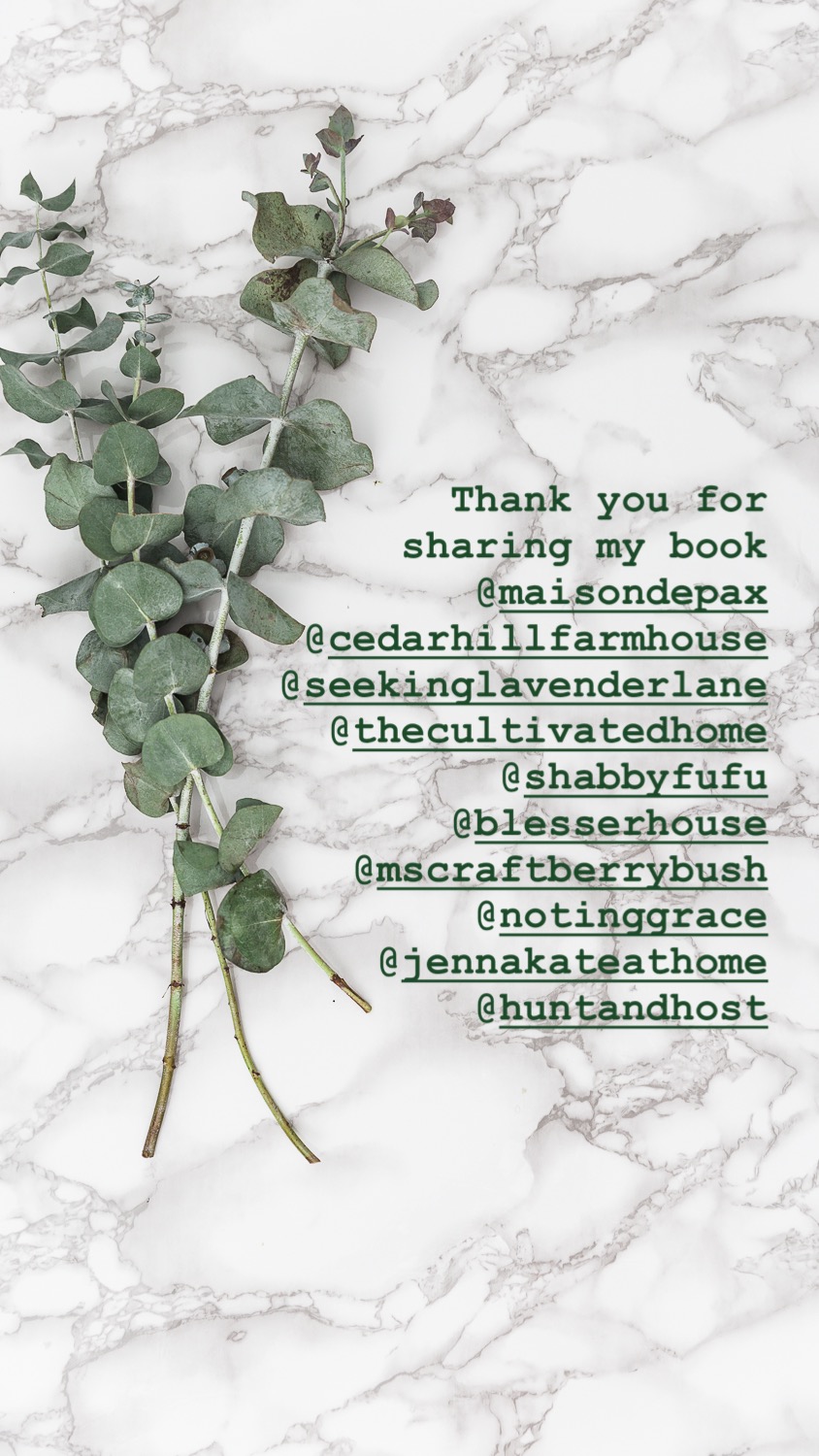 Instagram book promotion - French Vintage Decor book