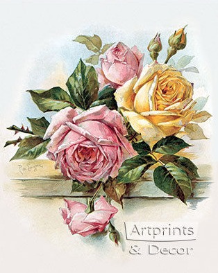 Pink and yellow roses.