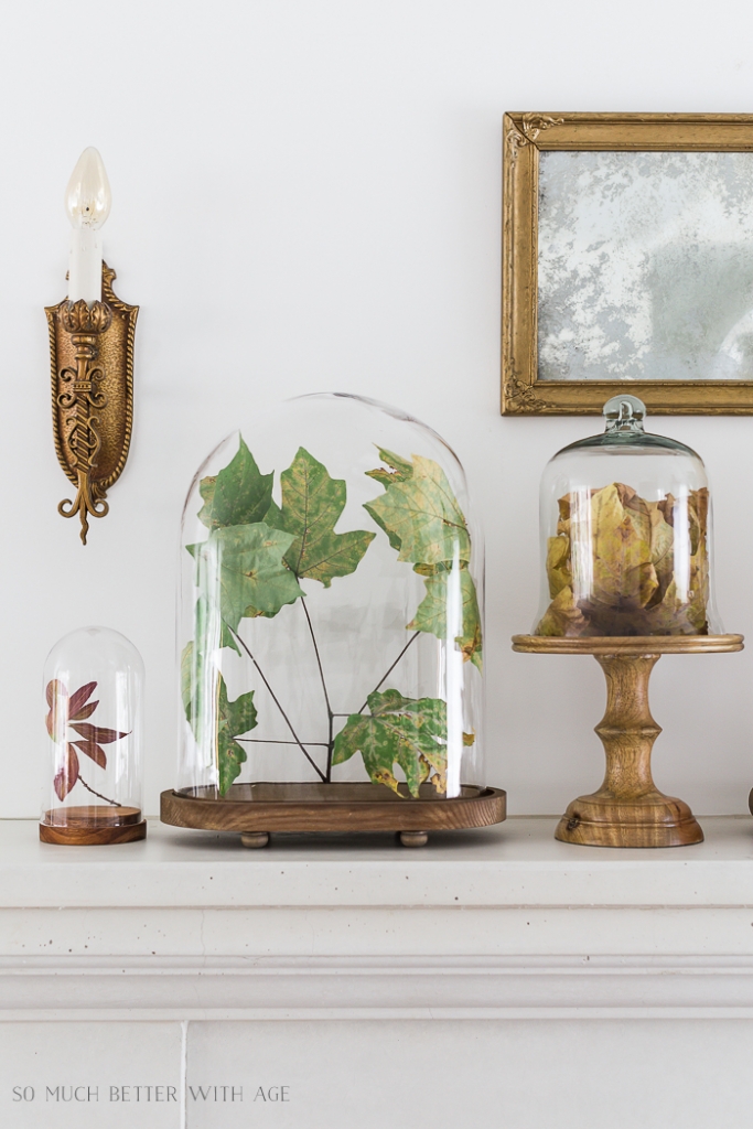 Unique Fall Decorating Ideas - Jamie Lundstrom