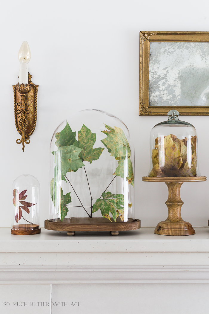 Cloches with green and brown leaves on mantel.