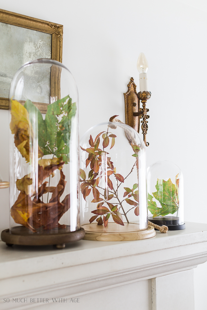 Autumn leaves in cloches on mantel with wall sconces beside them hanging on wall.