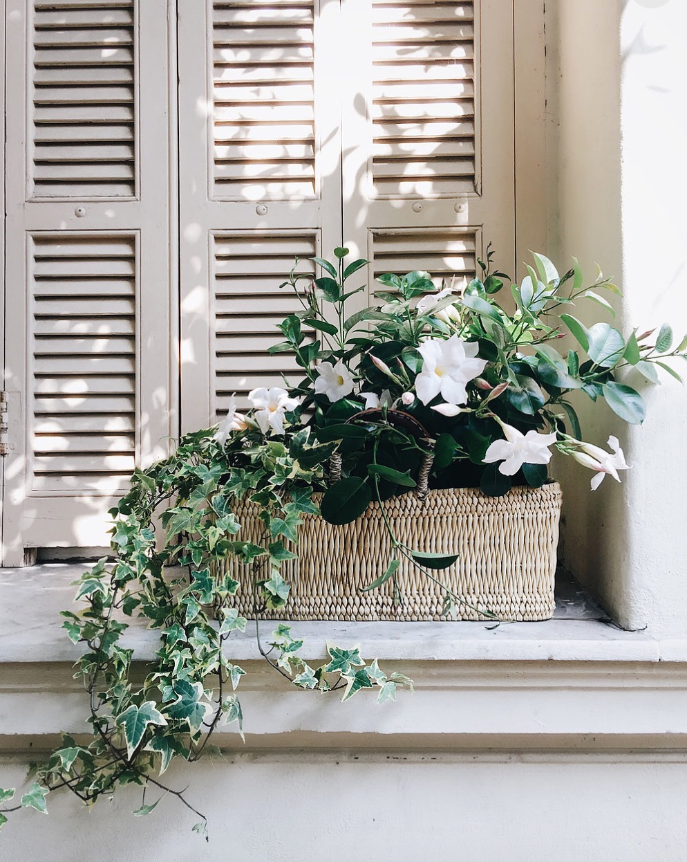 Rectangular basket with flowers and ivy in front of old shutters from Vivi et Margot.