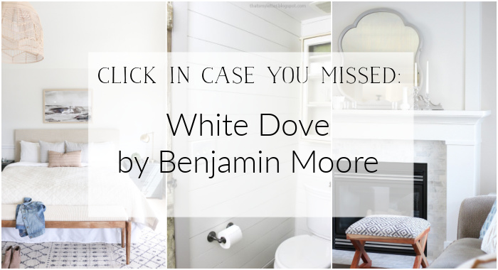 White Dove By Benjamin Moore graphic.