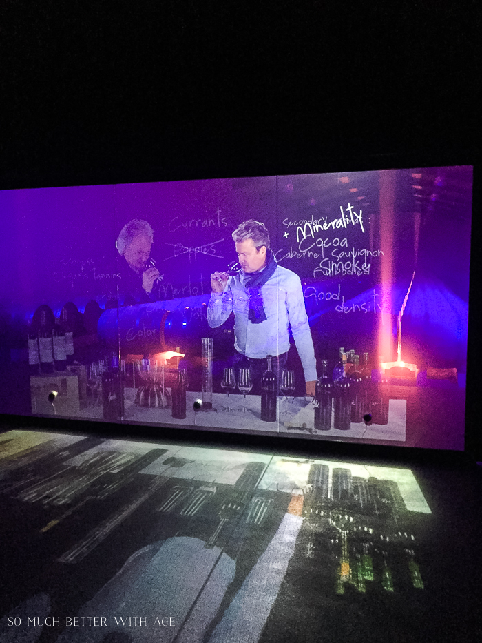 Why You Must Visit Bordeaux/video presentation at vineyard - So Much Better With Age