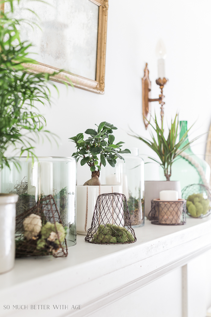 Creative Greenery Spring Mantel/wire baskets, green plants - So Much Better With Age