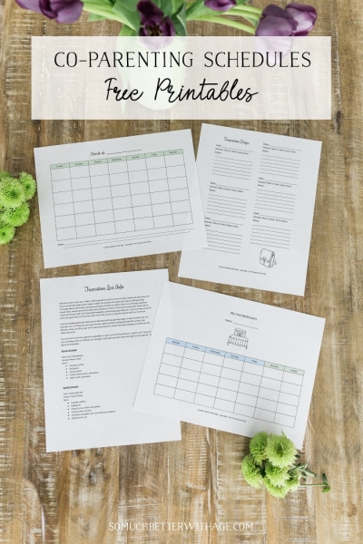 Co-Parenting Schedules- Free Printables (Lists for Two Households to ...