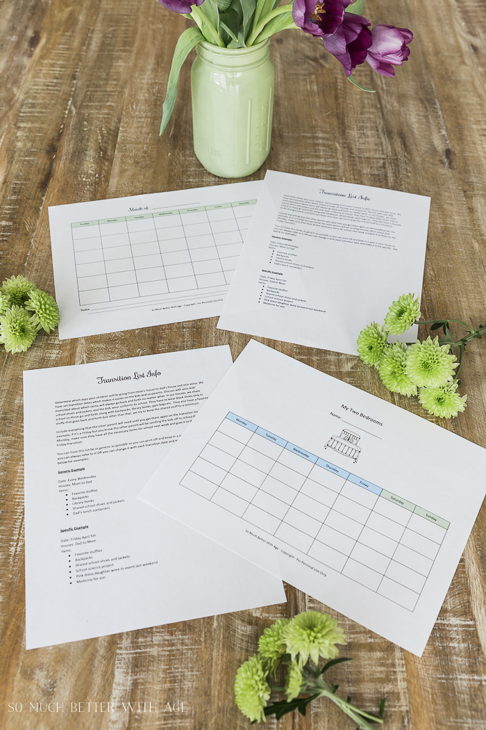 Co-Parenting Schedules - Free Printables - So Much Better With Age