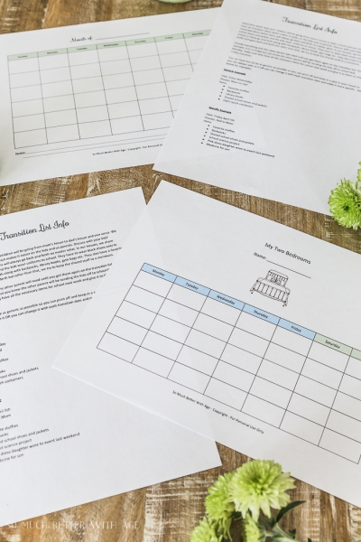 Co-Parenting Schedules- Free Printables (Lists for Two Households to ...