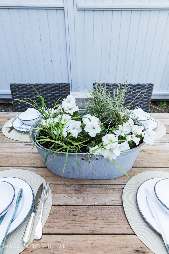 Flowering plants in bucket, grey fence, outdoor table.