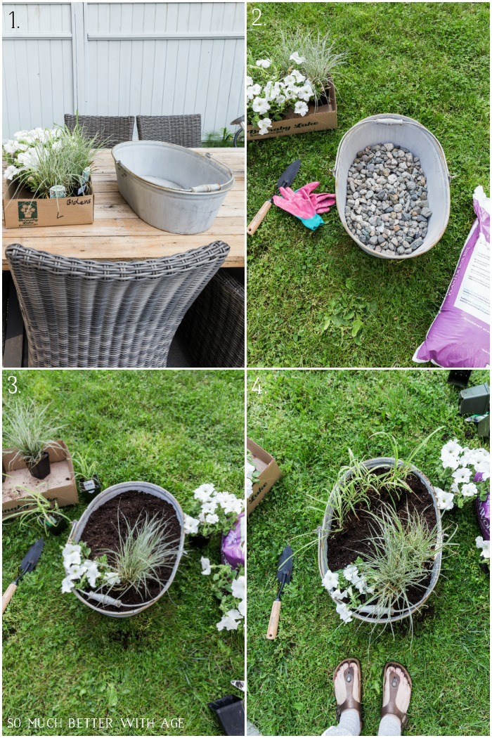 How to plant plants in a container step by step.