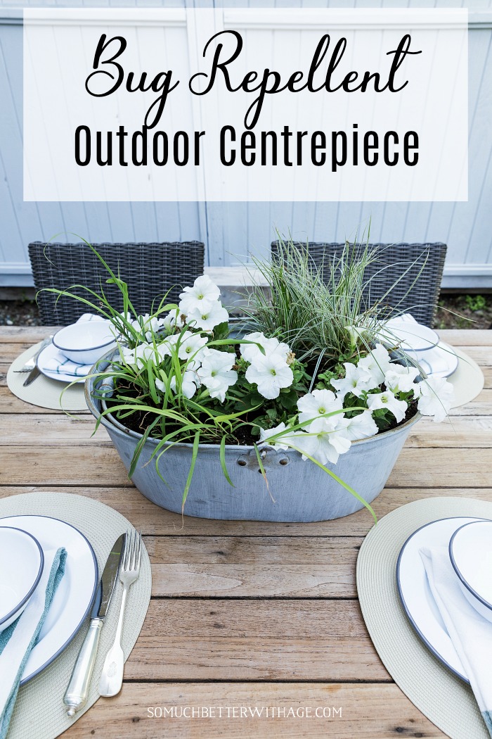 Bug Repellent Outdoor Centrepiece - So Much Better With Age