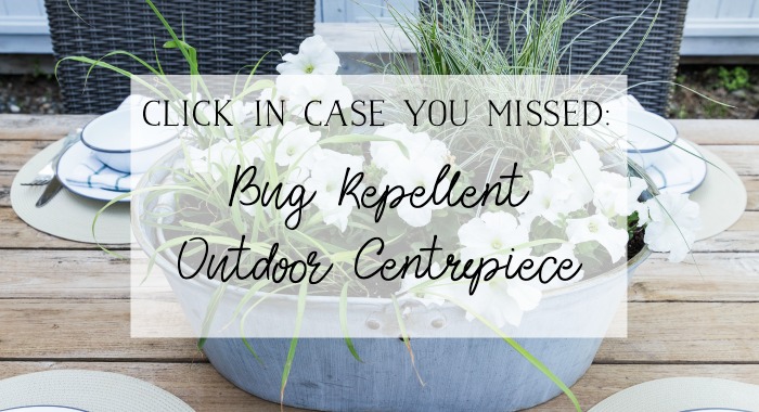 Bug Repellent Outdoor Centrepiece poster.