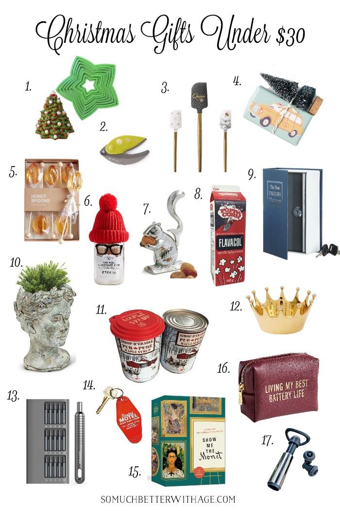 Christmas Gifts (and Stocking Stuffers) for under $30 - So Much