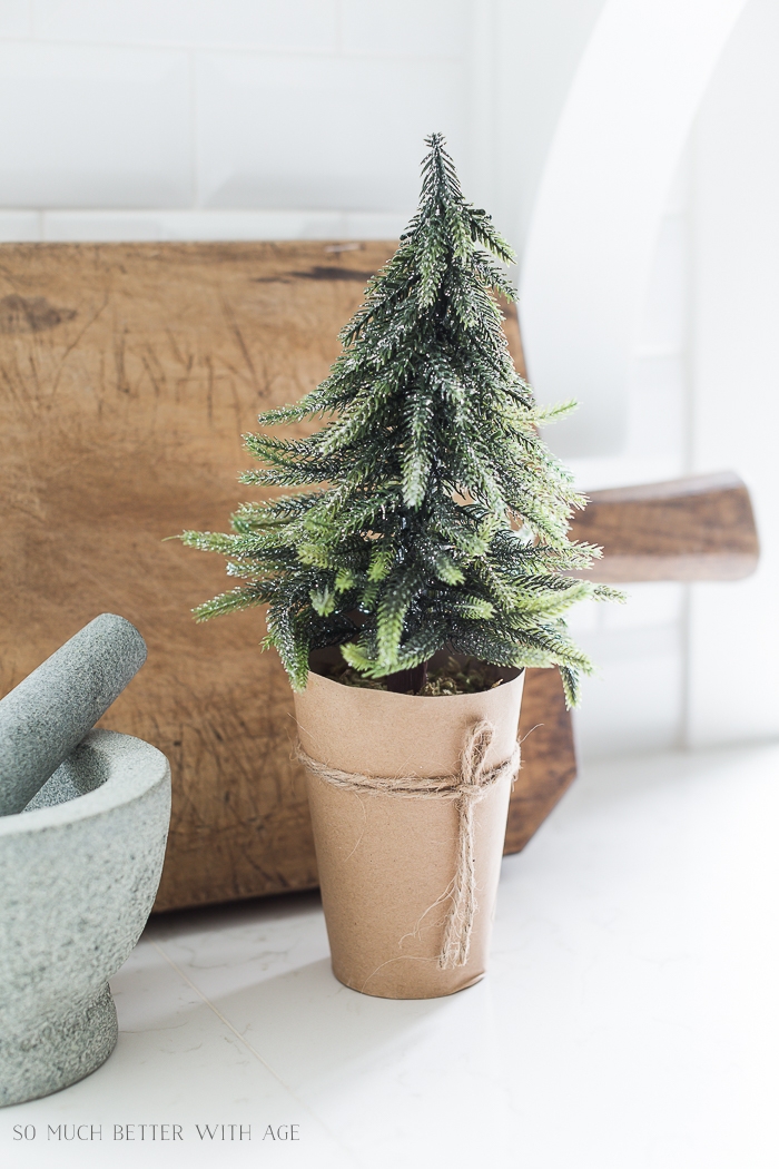 Close-up of mini evergreen tree wrapped in kraft paper. 