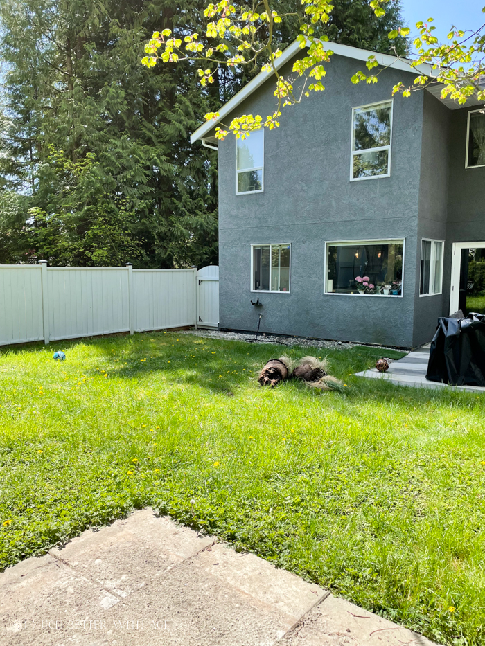 Back yard looking towards grey house.