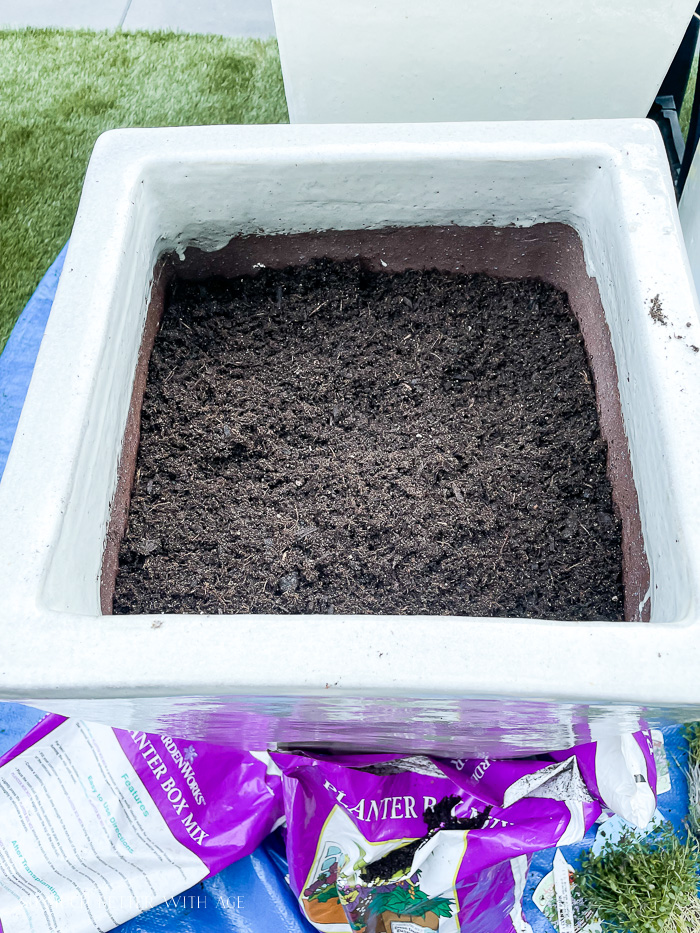 Soil in large plant pot. 