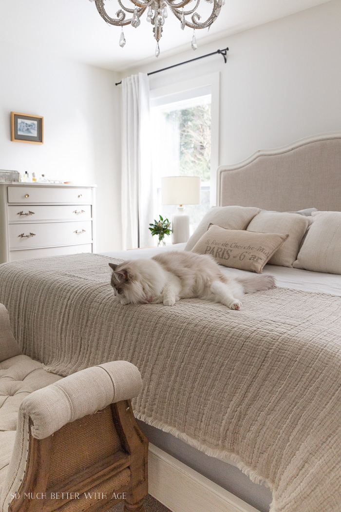 5 Steps for Creating a Cozy Bedroom - So Much Better With Age