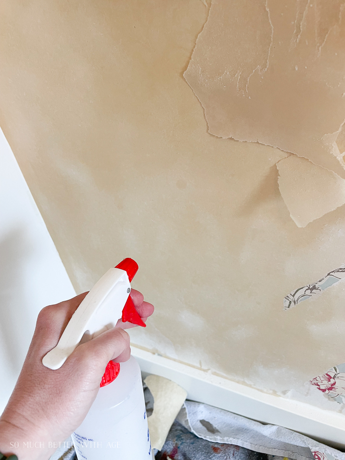 The Best Way to Remove Wallpaper