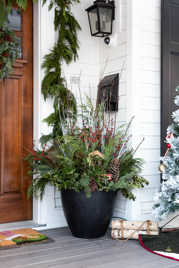 Big planters for Christmas by front door. 