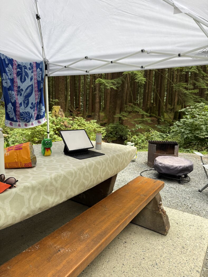 Picnic table set up camping with iPad.