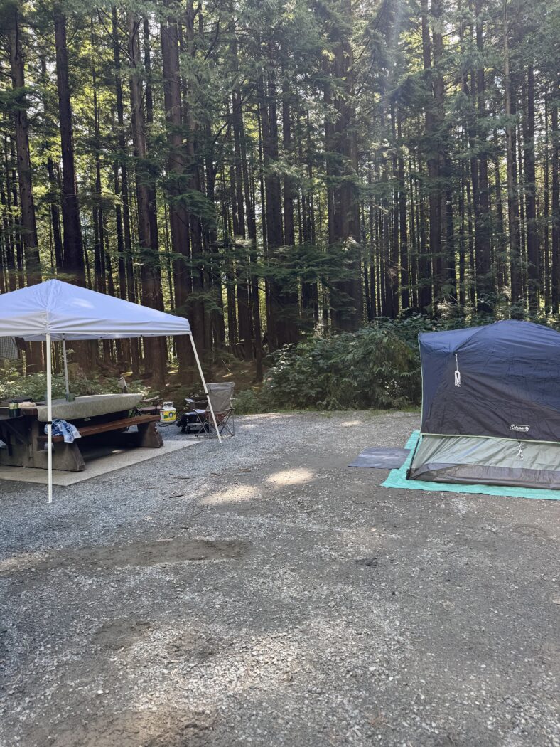 Tent and picnic table in camp site with sunlight pouring through the trees.